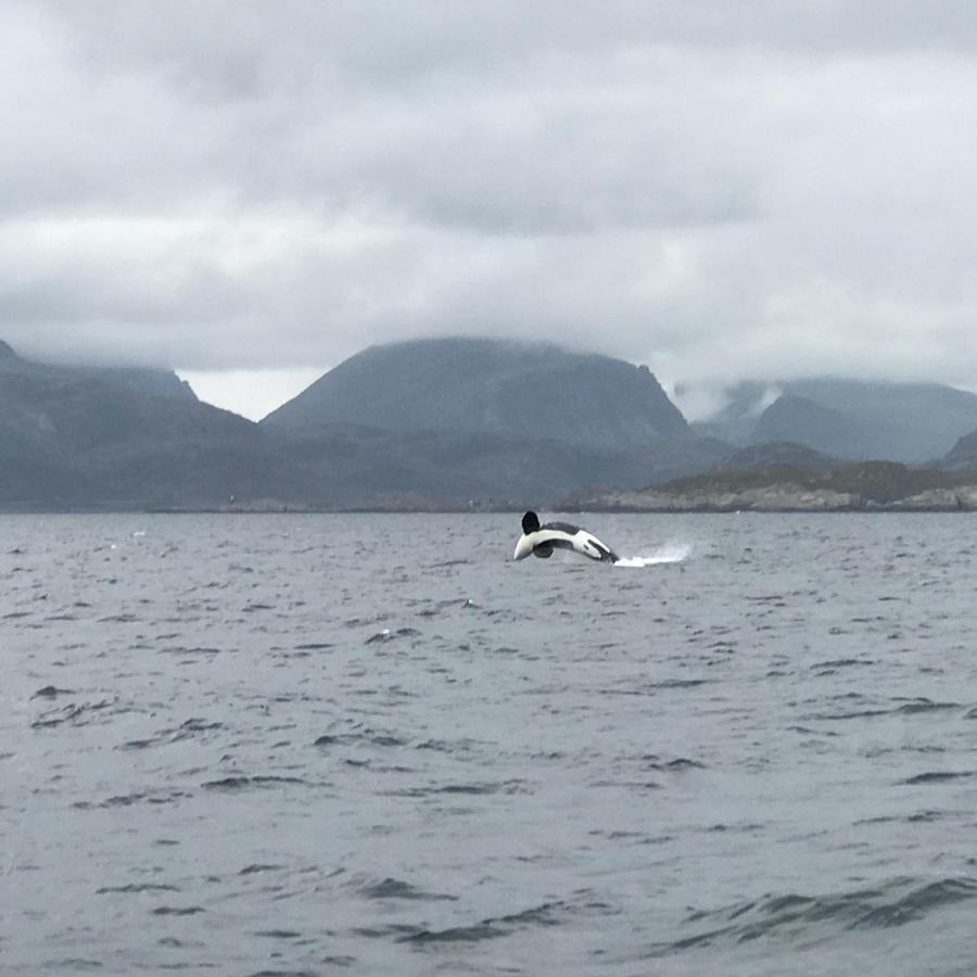 Fishermans Rorbu 3 - Lofoten Ramberg Exterior photo